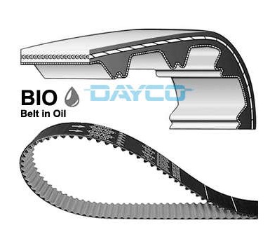 CORREIA DENTADA OLEO