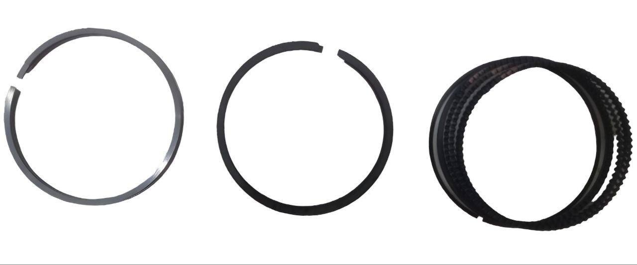 SEGMENTO MOTOR(050)