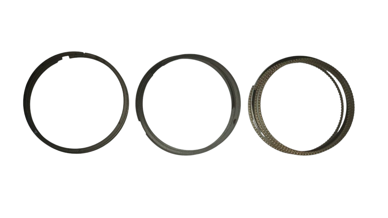 SEGMENTO MOTOR(050)