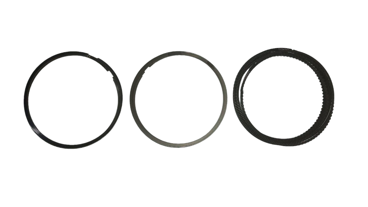SEGMENTO MOTOR(050)