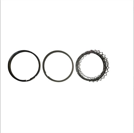 SEGMENTO MOTOR(040)
