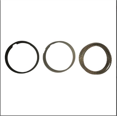 SEGMENTO MOTOR(040)