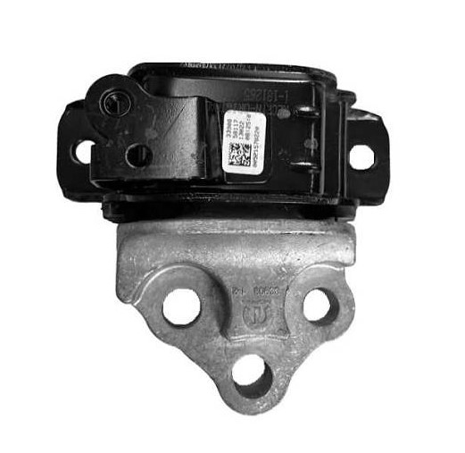 COXIM MOTOR DIANT LE