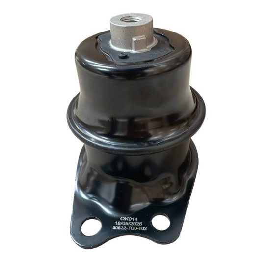 COXIM MOTOR DIANT LD